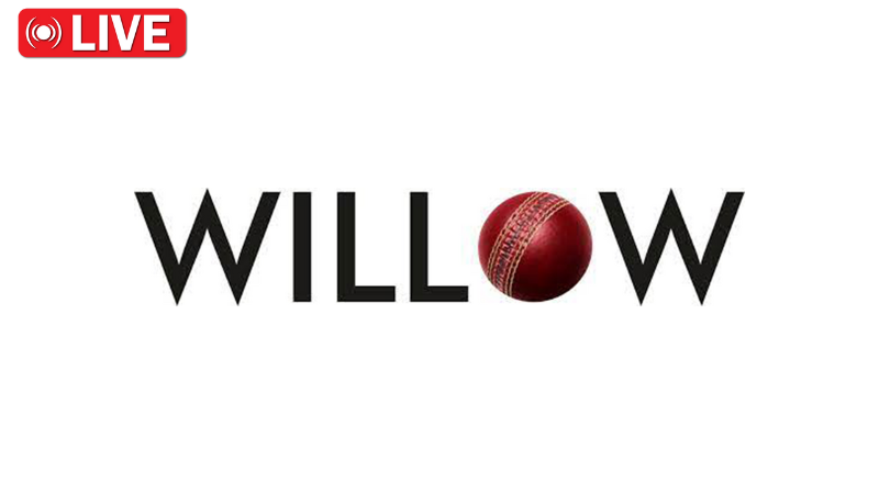 Willow cricket
